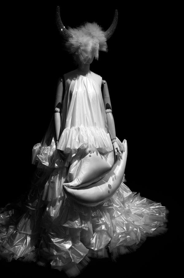 Dressed Up | 10 x 15 cm